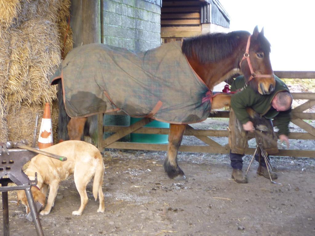 مبيت وإفطار هيكسهام Rye Hill Farm المظهر الخارجي الصورة