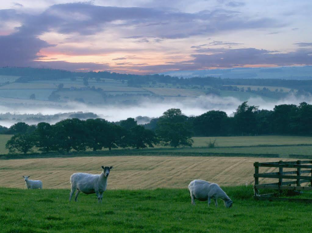 مبيت وإفطار هيكسهام Rye Hill Farm المظهر الخارجي الصورة
